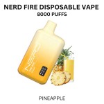 Nerd Fire 8000 Puffs Disposable Vape 2%